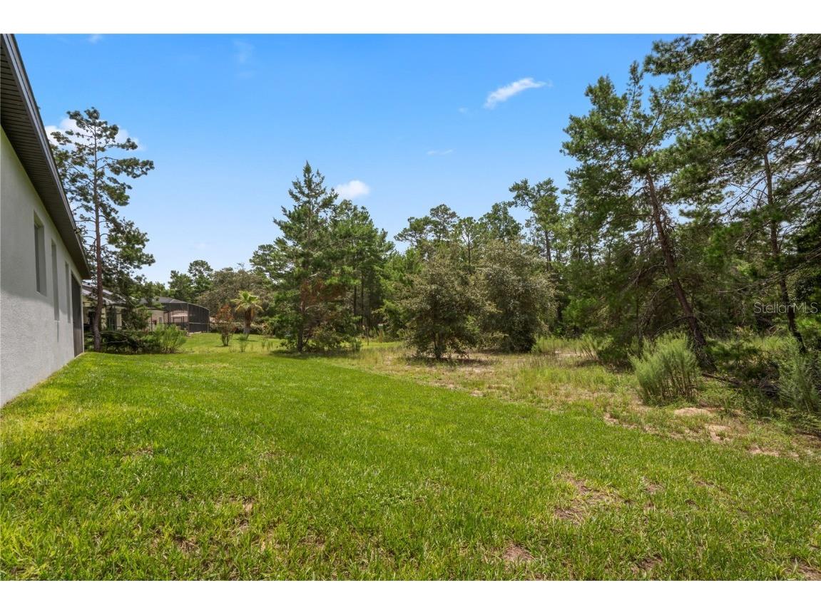 92 Grass Street Homosassa FL 34446 W7877797 image59