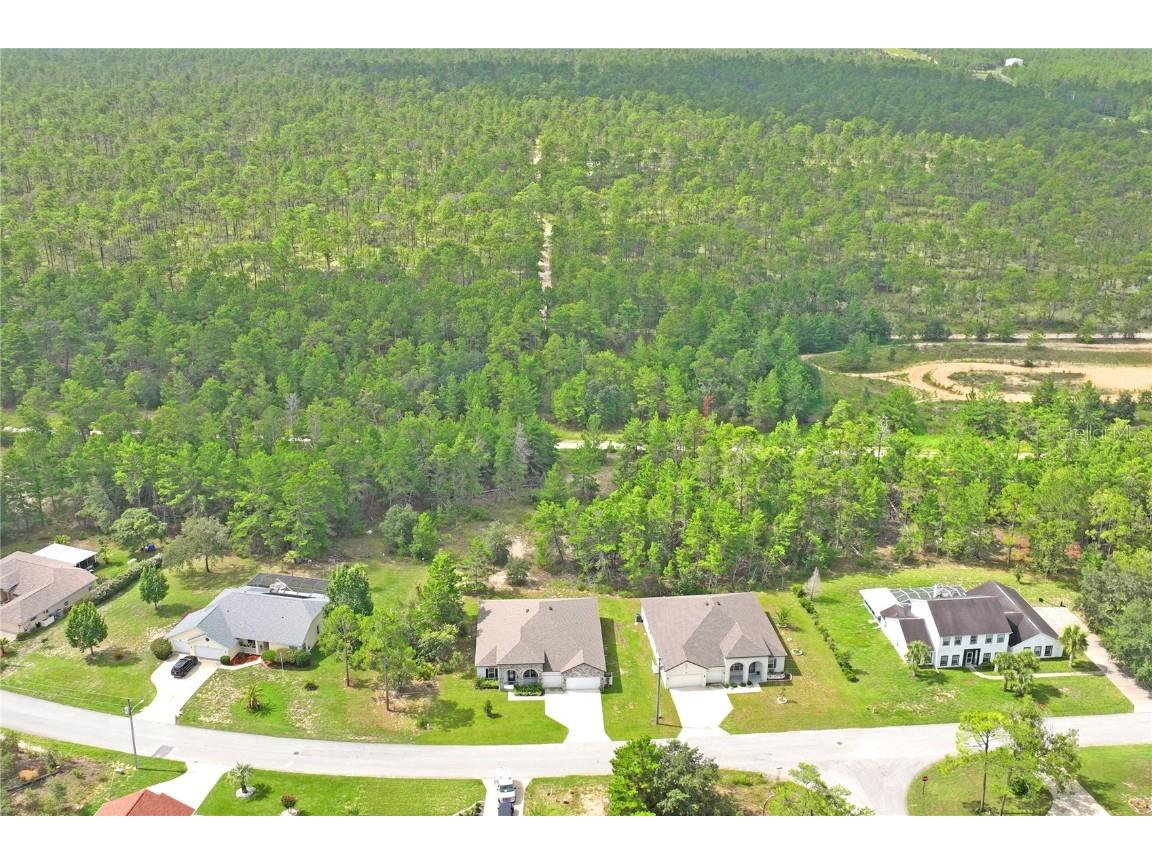 92 Grass Street Homosassa FL 34446 W7877797 image73