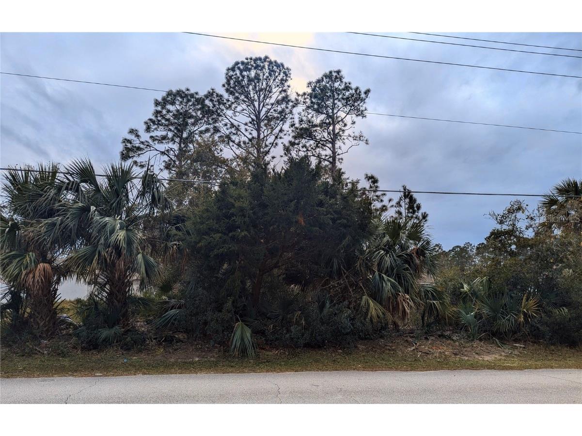 92 Pine Grove Drive Palm Coast FL 32164 FC307387 image1