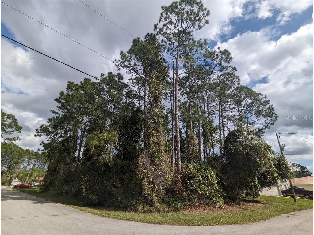 92 Ryberry Dr Palm Coast FL 32164 FC295874 image1