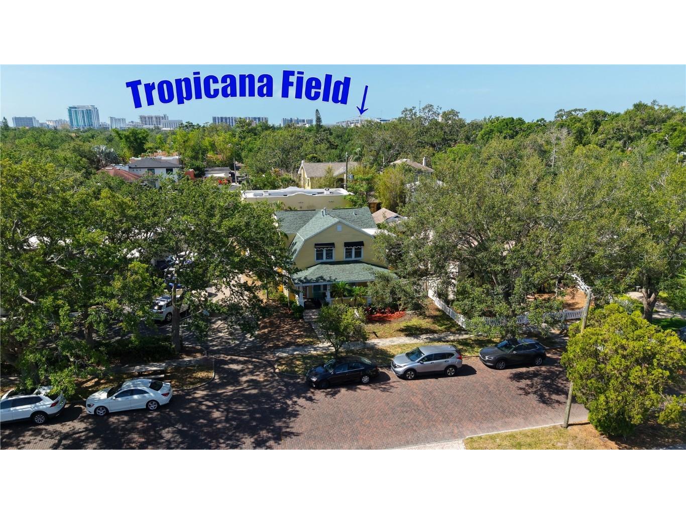 920 16th Avenue N Saint Petersburg FL 33704 TB8380319 image52