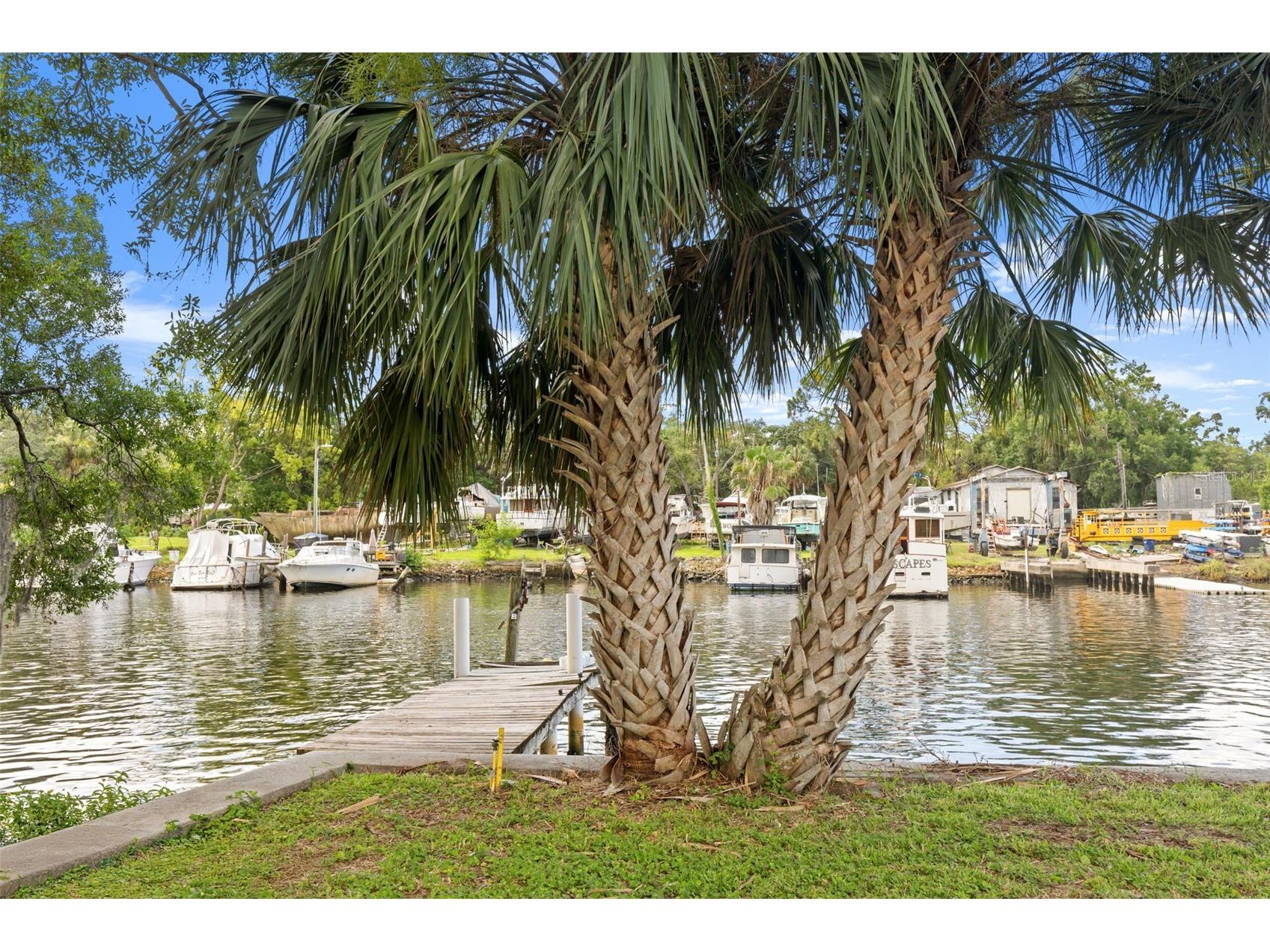 920 Alicia Avenue Tampa FL 33604 - HILLSBOROUGH RIVER TB8515733 image33
