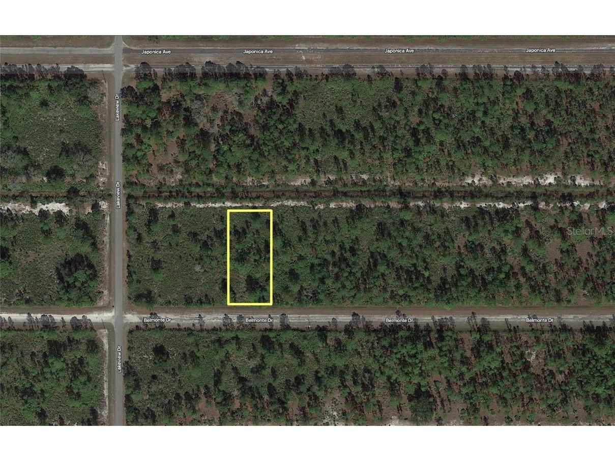 920 Belmonte Drive Indian Lake Estates FL 33855 - LAKE WALK IN WATER T3435500 image1
