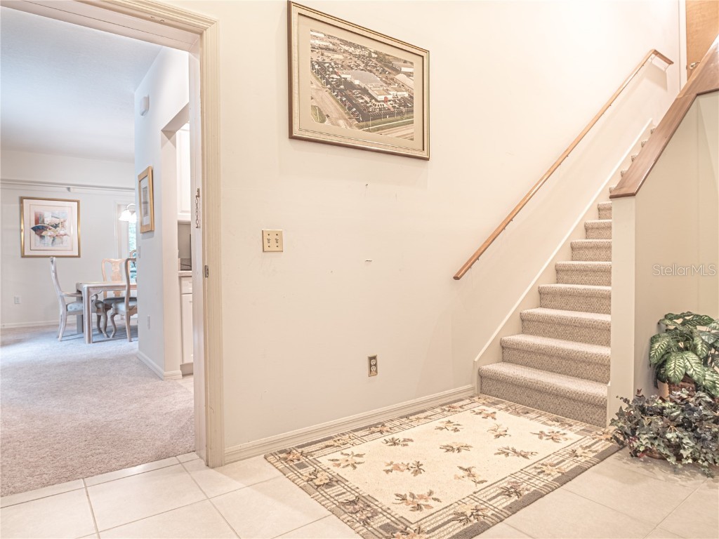 920 E Lake Drive Tarpon Springs FL 34688 TB8451942 image22