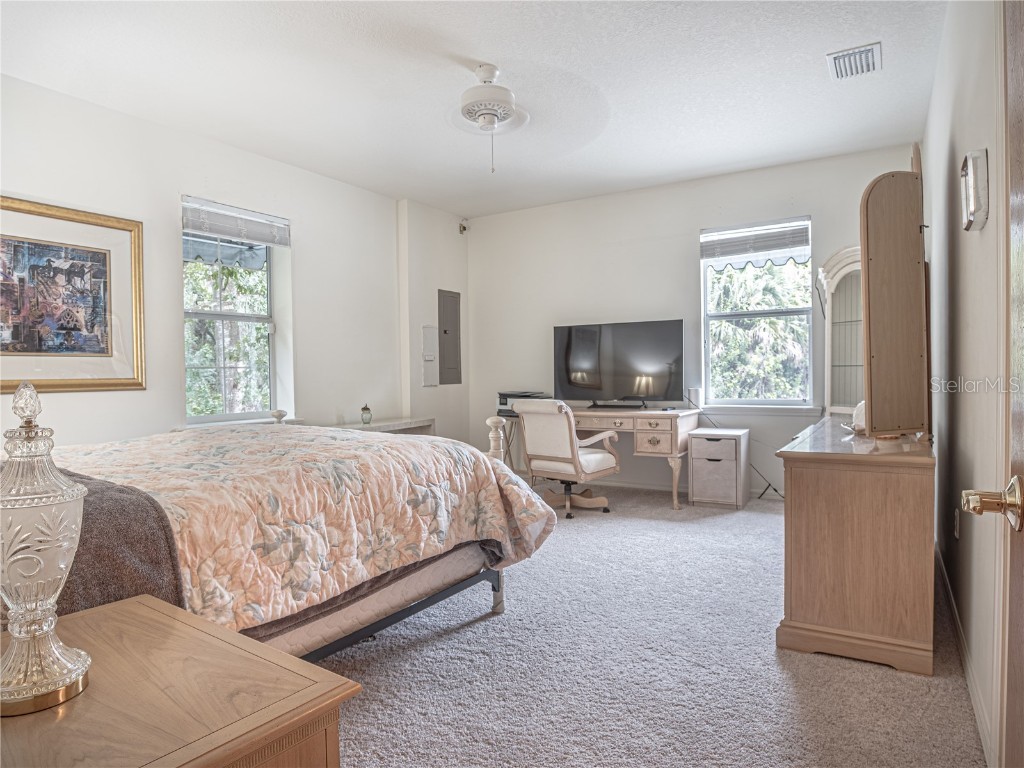 920 E Lake Drive Tarpon Springs FL 34688 TB8451942 image34