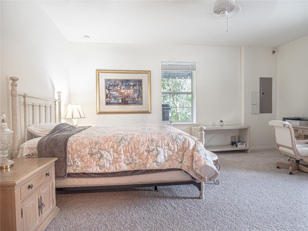 920 E Lake Drive Tarpon Springs FL 34688 TB8451942 image35