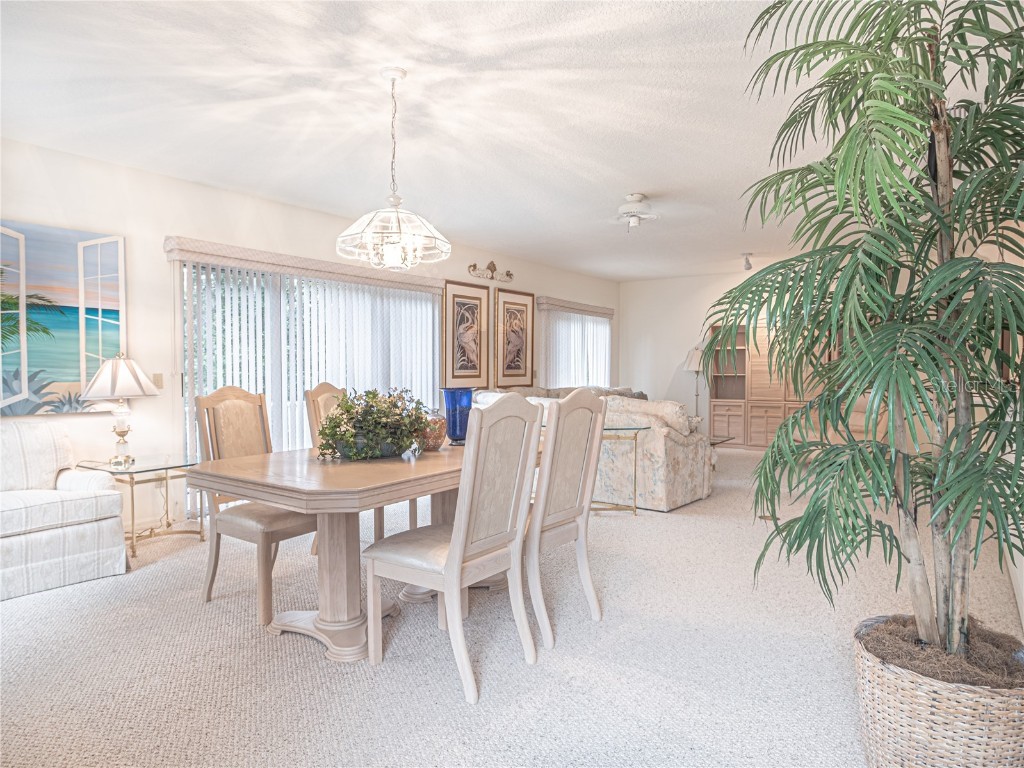 920 E Lake Drive Tarpon Springs FL 34688 TB8451942 image45