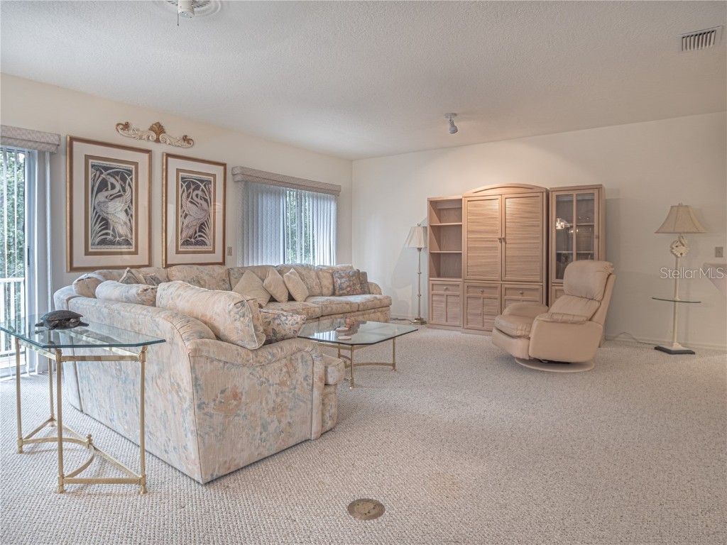 920 E Lake Drive Tarpon Springs FL 34688 TB8451942 image48