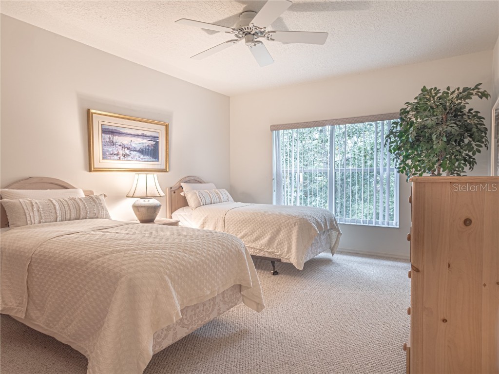 920 E Lake Drive Tarpon Springs FL 34688 TB8451942 image54