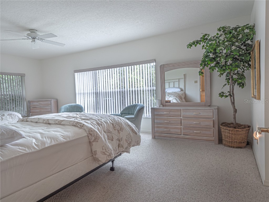 920 E Lake Drive Tarpon Springs FL 34688 TB8451942 image56