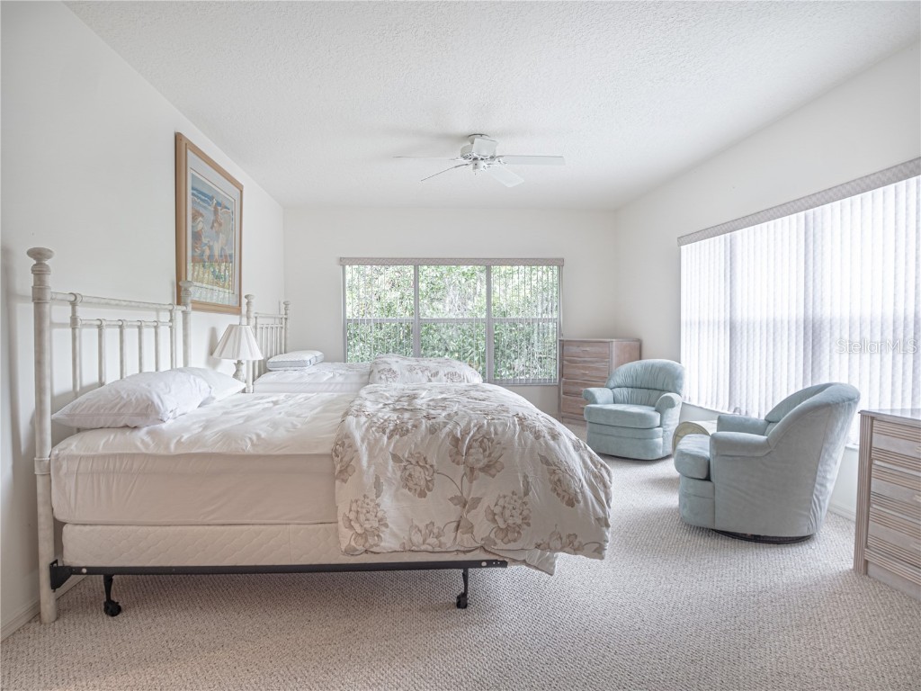 920 E Lake Drive Tarpon Springs FL 34688 TB8451942 image57