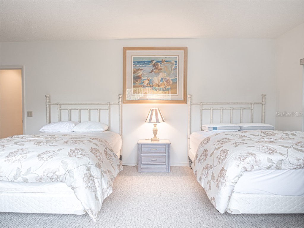 920 E Lake Drive Tarpon Springs FL 34688 TB8451942 image59