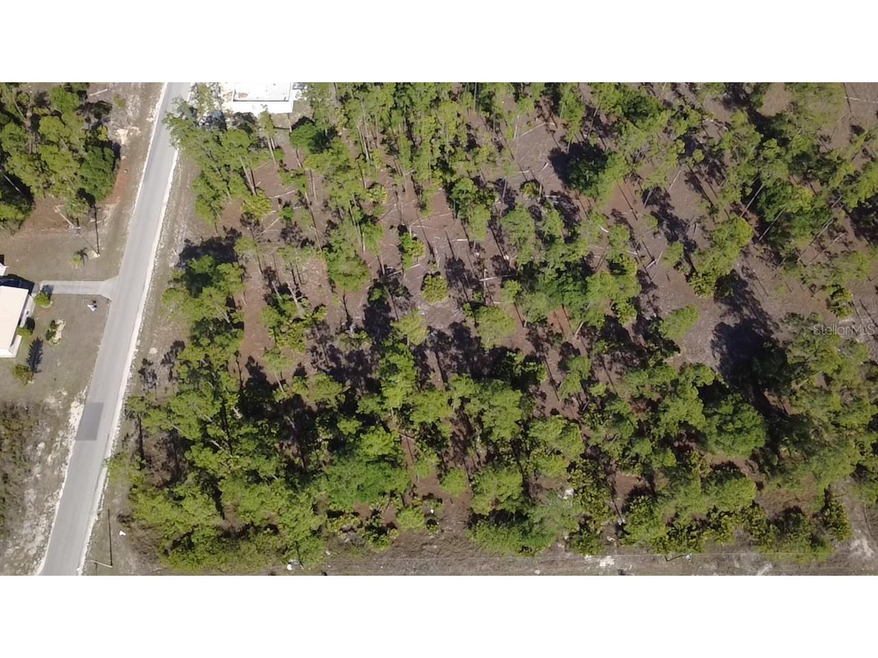 920 Louis Avenue Lehigh Acres FL 33972 O6402568 image2