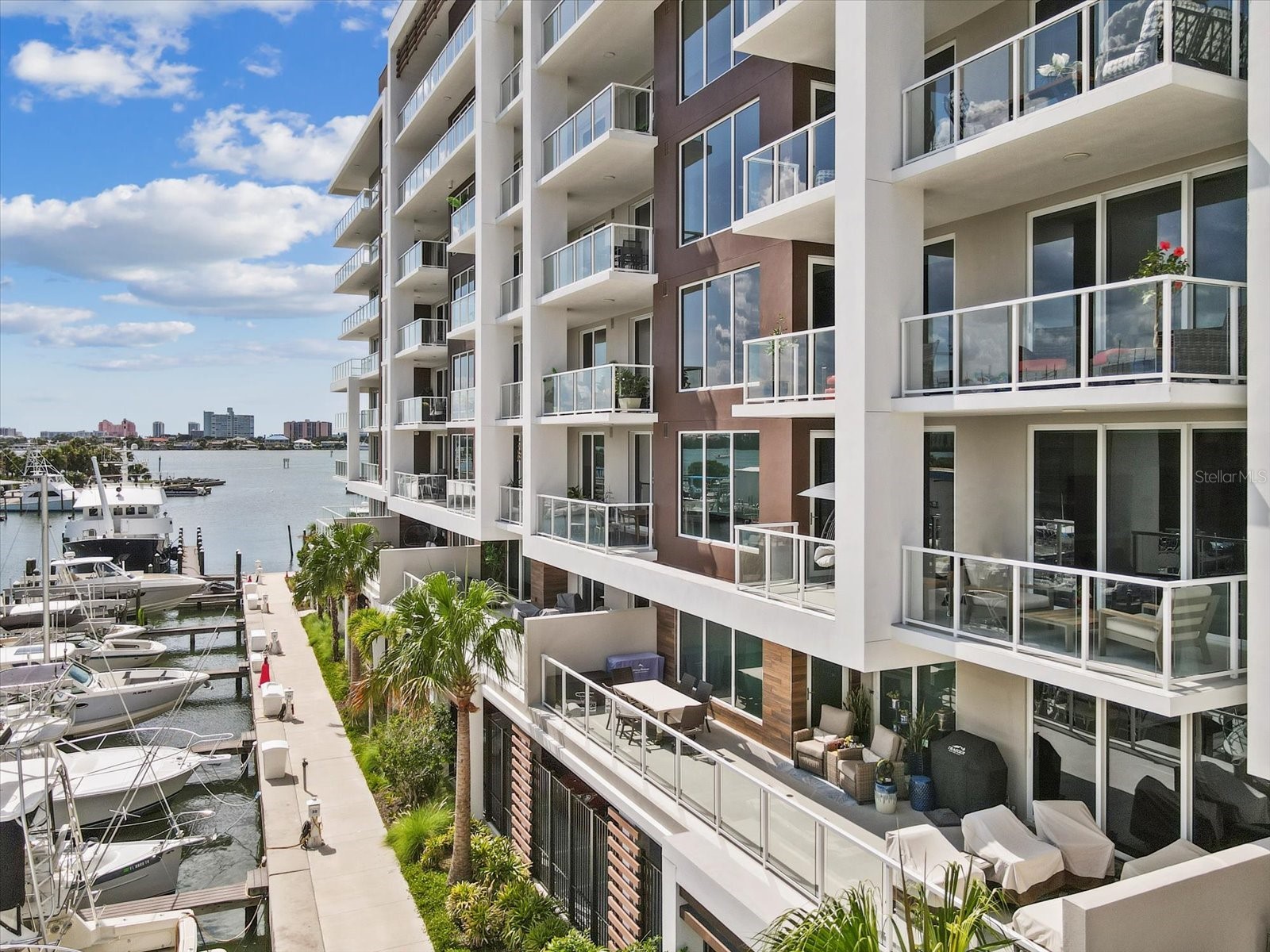 920 N Osceola Avenue #303 Clearwater FL 33755 TB8425606 image1