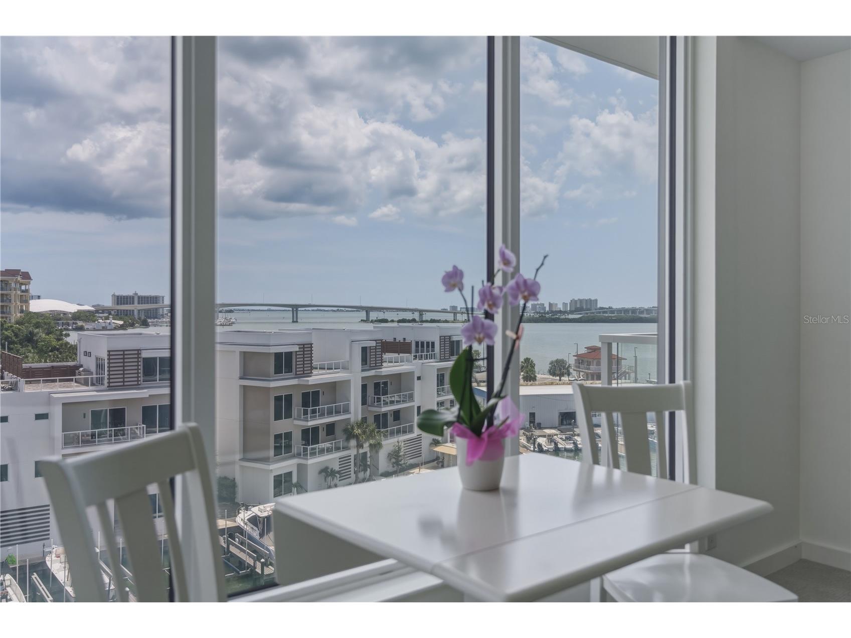 920 N Osceola Avenue #603 Clearwater FL 33755 TB8499529 image16