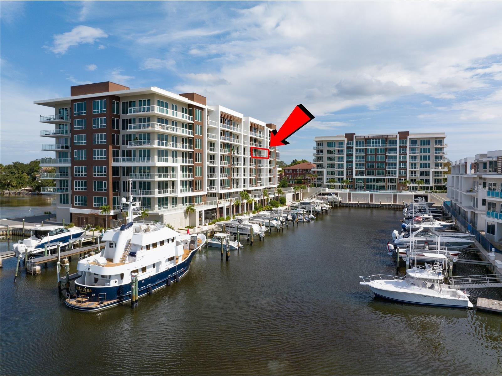 920 N Osceola Avenue #603 Clearwater FL 33755 TB8499529 image33