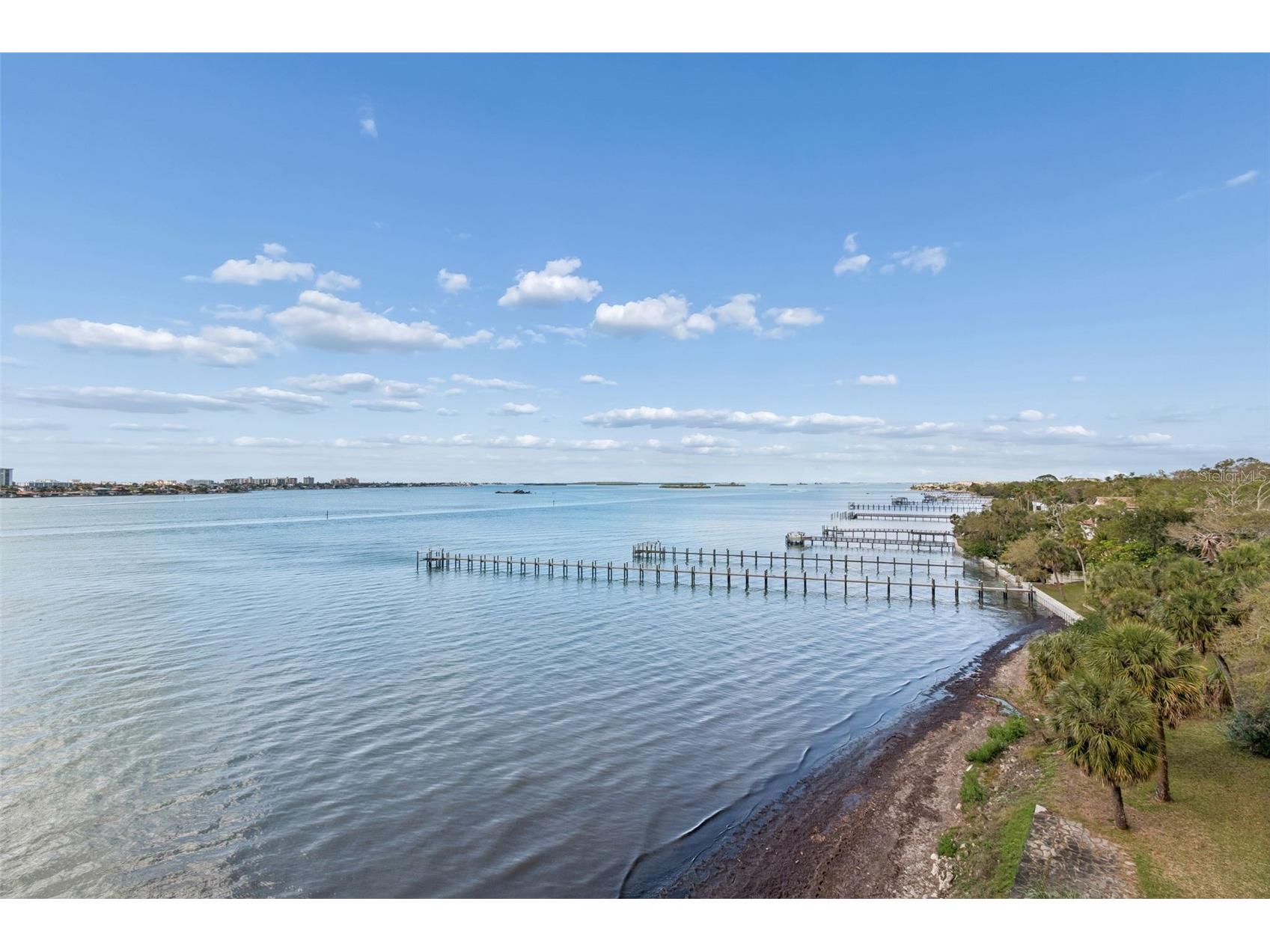 920 N Osceola Avenue #604 Clearwater FL 33755 TB8483894 image70