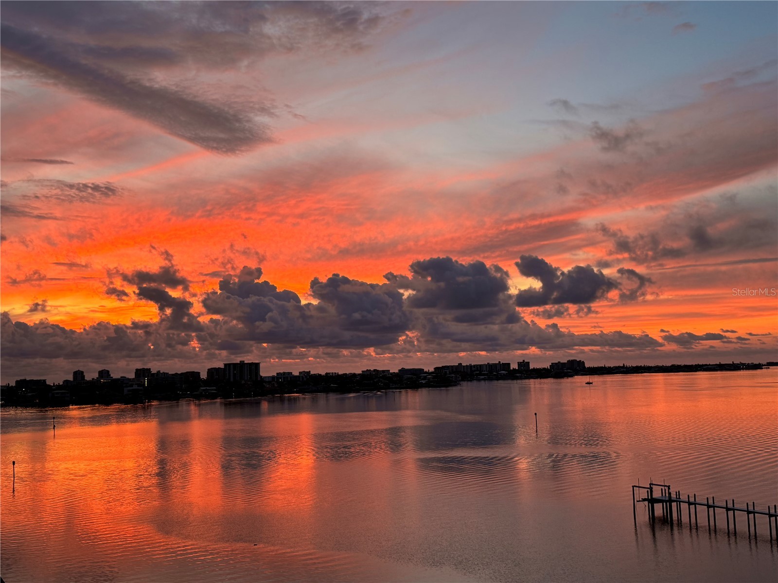 920 N Osceola Avenue #702 Clearwater FL 33755 - INTRACOASTAL WATERWAY TB8477696 image3