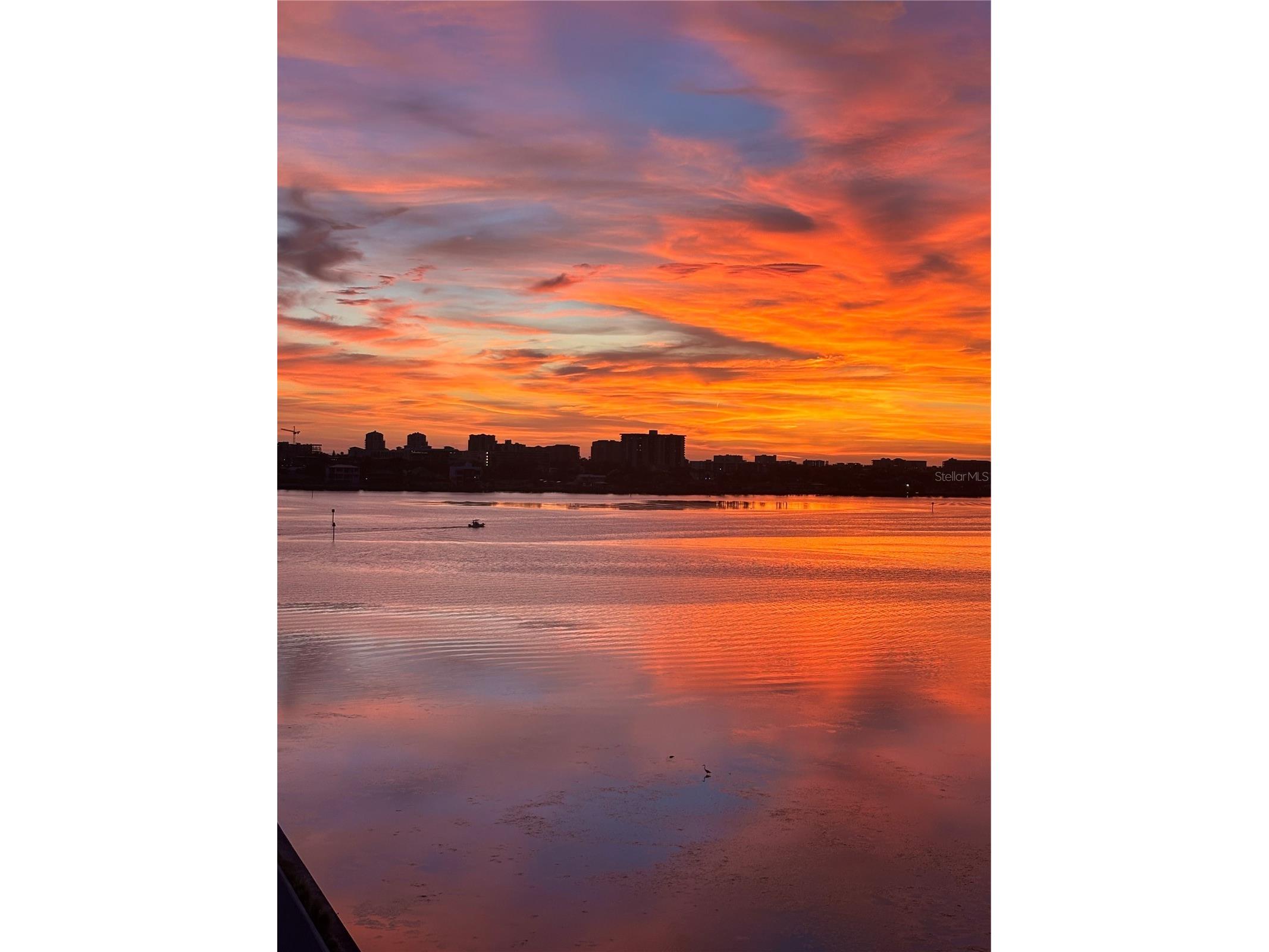 920 N Osceola Avenue #702 Clearwater FL 33755 - INTRACOASTAL WATERWAY TB8477696 image37