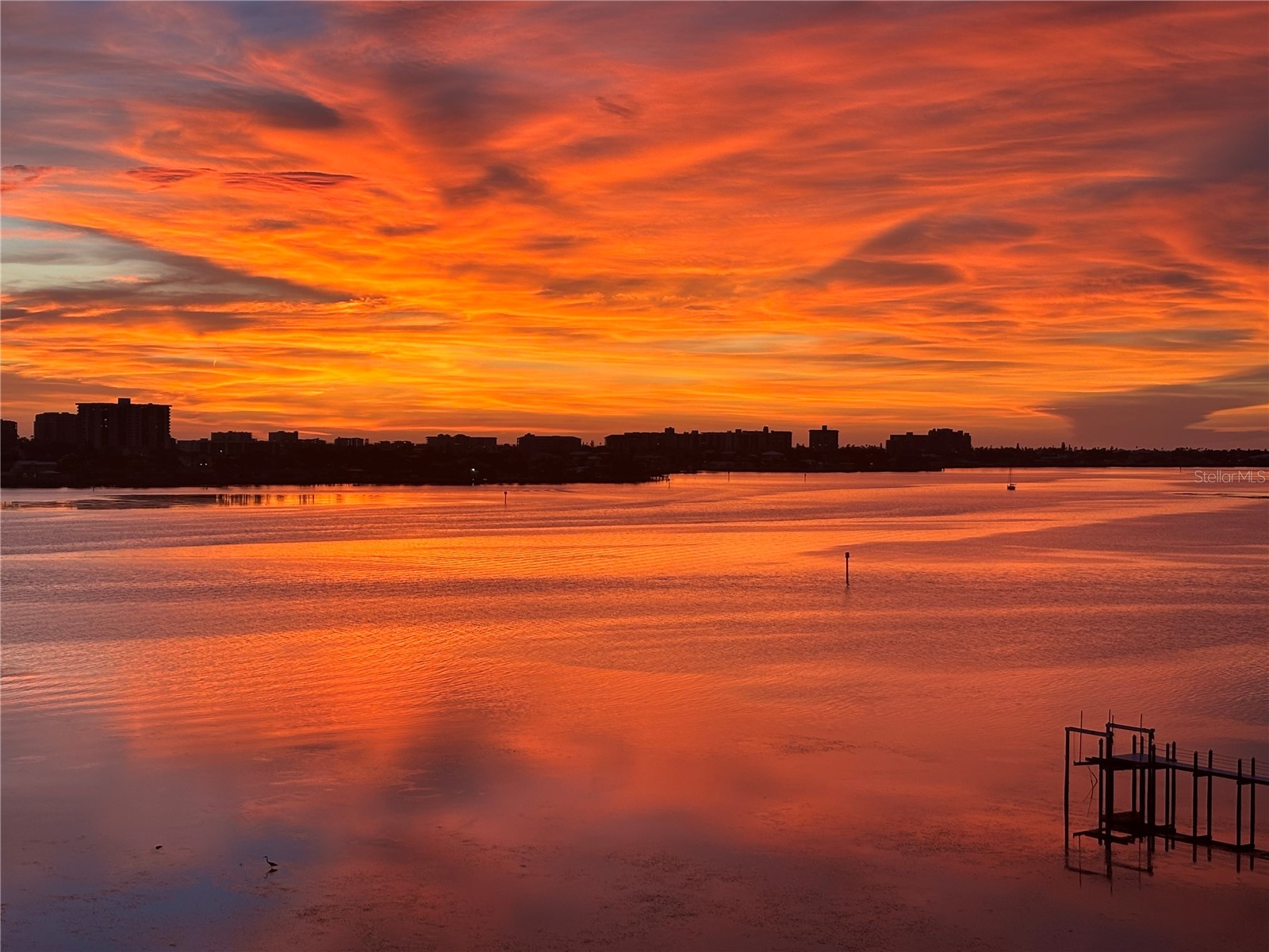 920 N Osceola Avenue #702 Clearwater FL 33755 - INTRACOASTAL WATERWAY TB8477696 image6