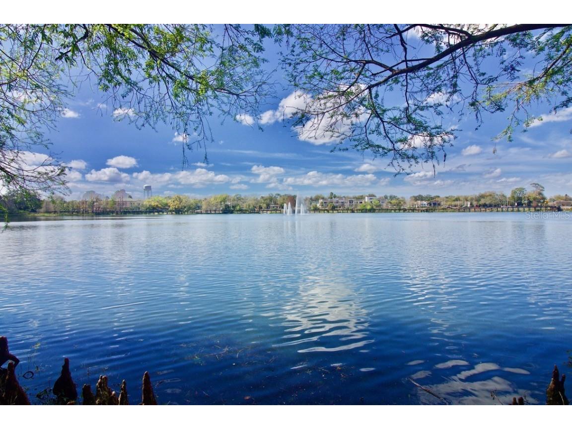 920 N Triplet Lake Drive Casselberry FL 32707 O6371681 image28