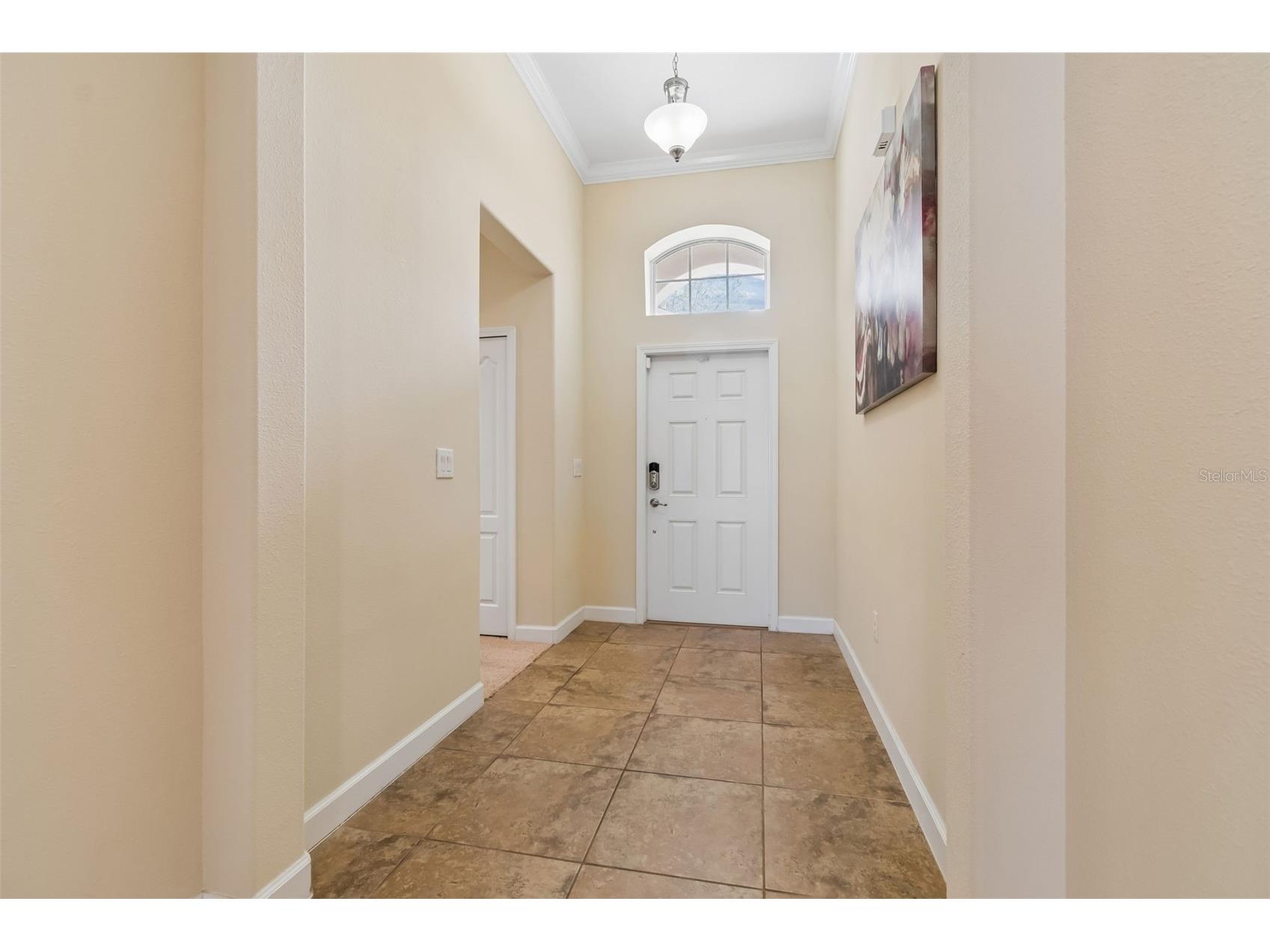 920 Peregrine Hill Place Ruskin FL 33570 - COMMUNITY POND TB8483915 image8