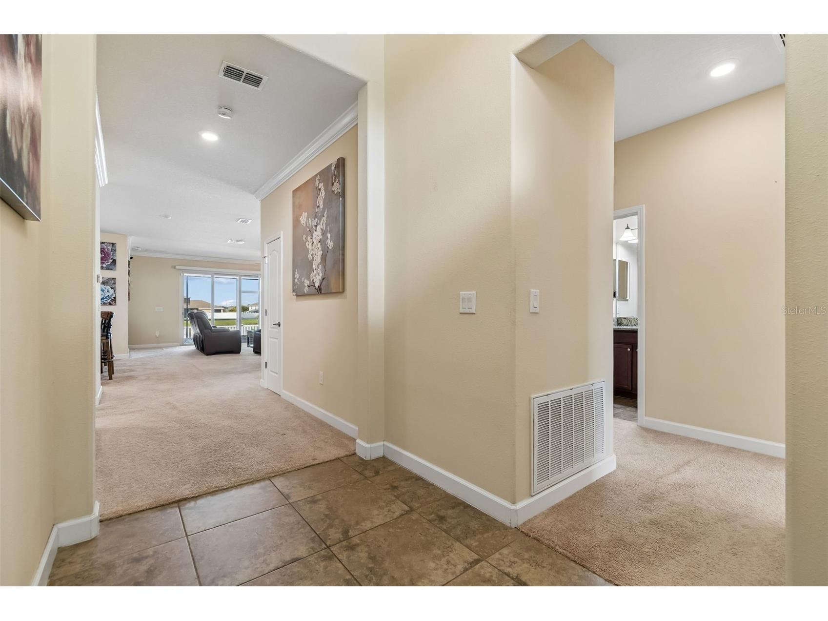 920 Peregrine Hill Place Ruskin FL 33570 - COMMUNITY POND TB8483915 image9