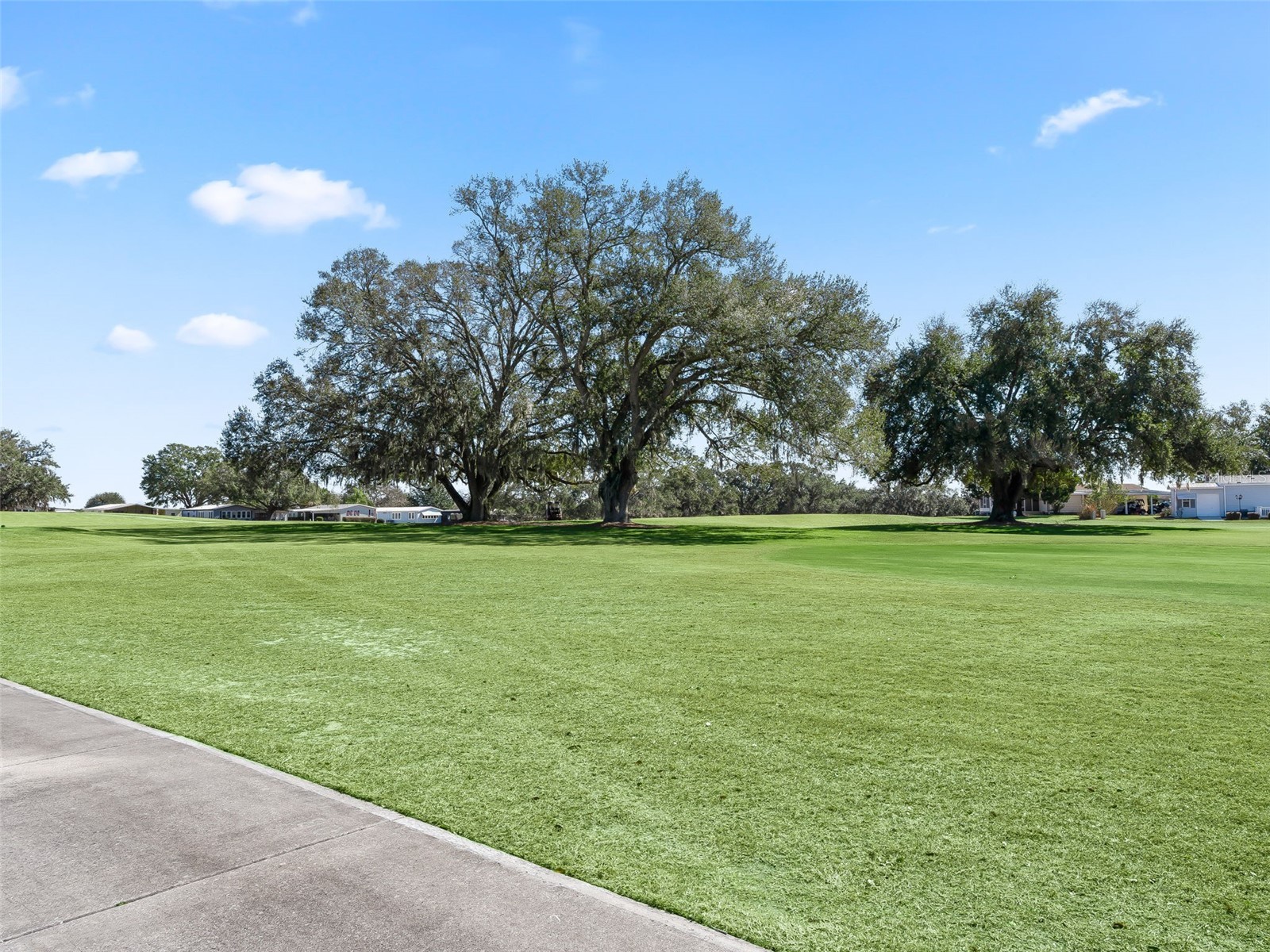 920 Saint Andrews Boulevard The Villages FL 32159 G5107702 image4