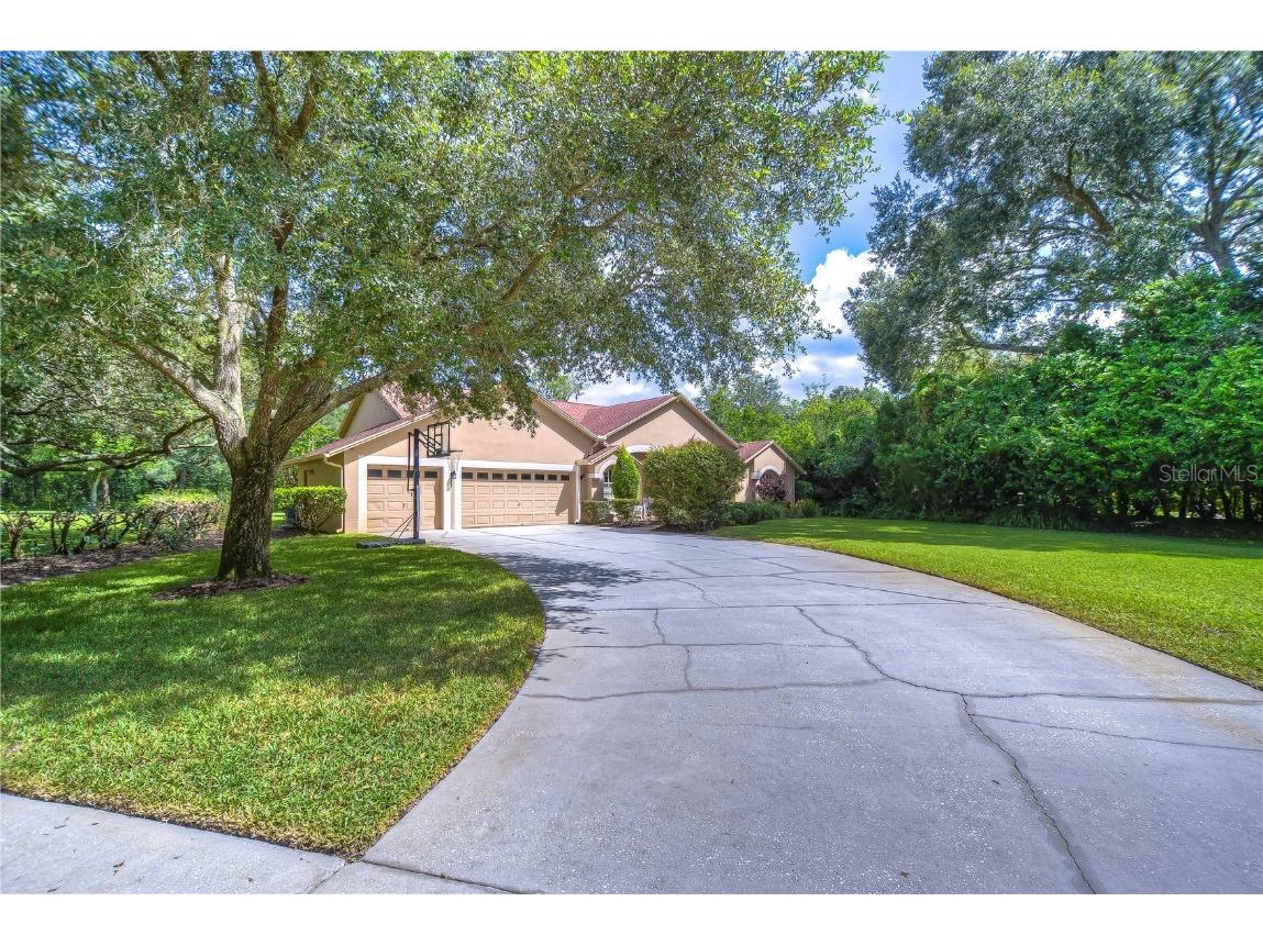 920 Shaded Water Way Lutz FL 33549 T3476507 image1