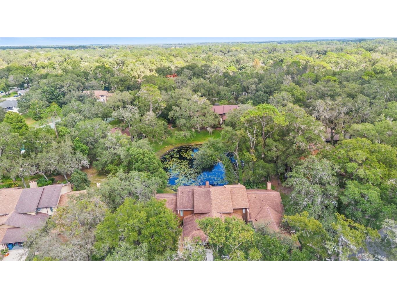 920 Shady Branch Trail Deland FL 32724 V4945417 image8