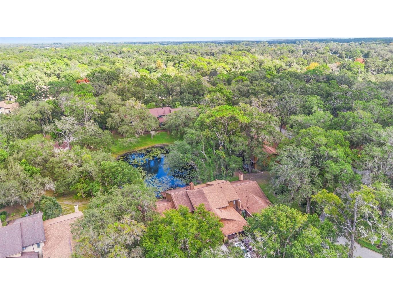 920 Shady Branch Trail Deland FL 32724 V4945417 image9