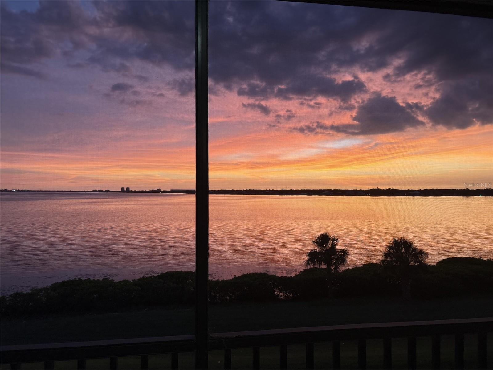 920 Tidewater Shores Loop #301 Bradenton FL 34208 A4695099 image19