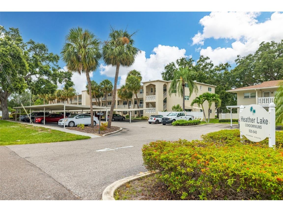 920 Virginia Street #207 Dunedin FL 34698 TB8406780 image1