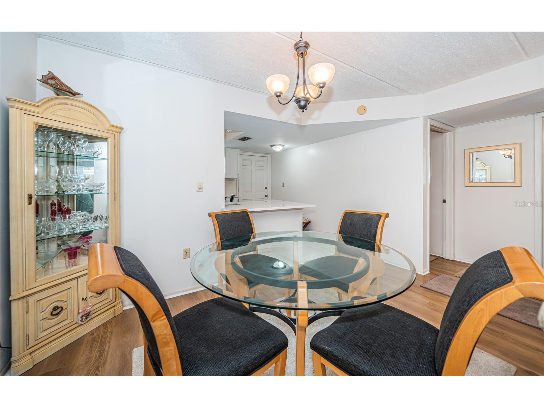 920 Virginia Street #302 Dunedin FL 34698 TB8465395 image11