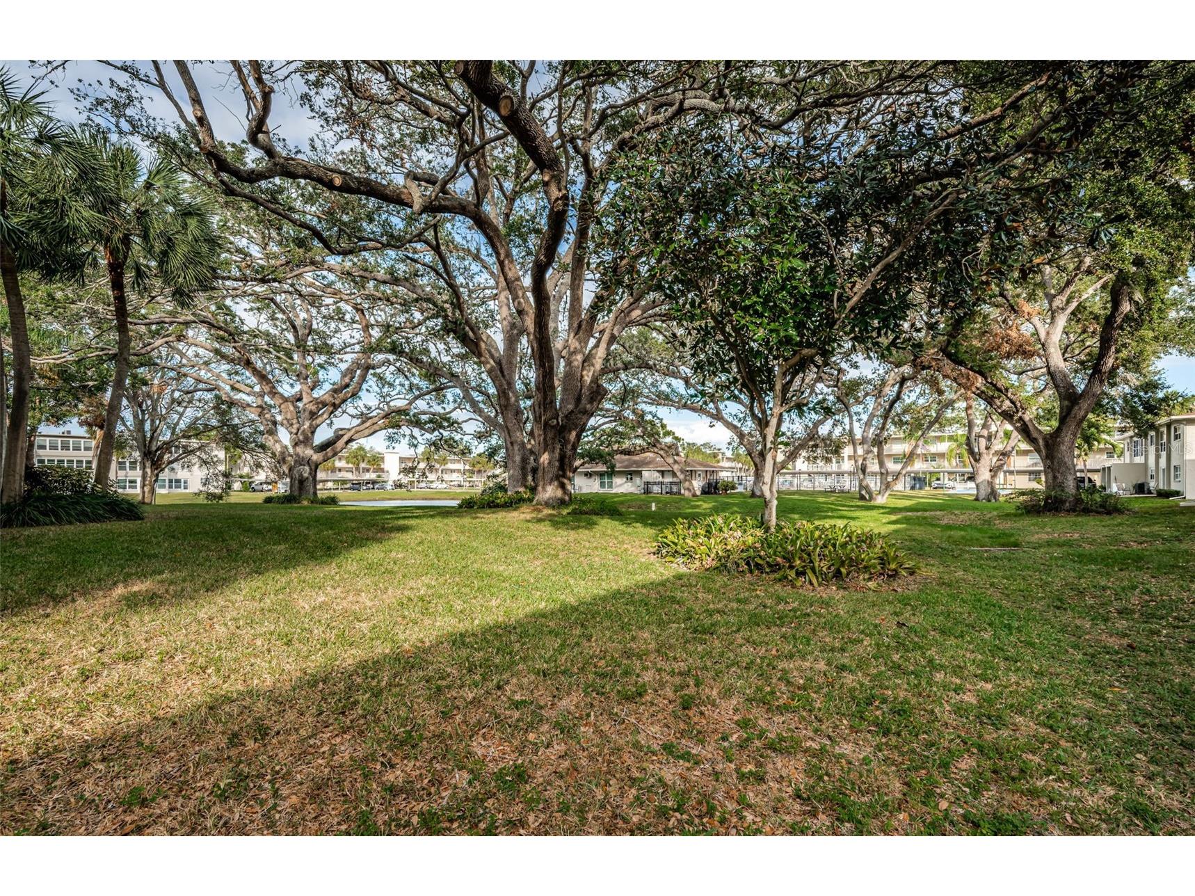 920 Virginia Street #302 Dunedin FL 34698 TB8465395 image39