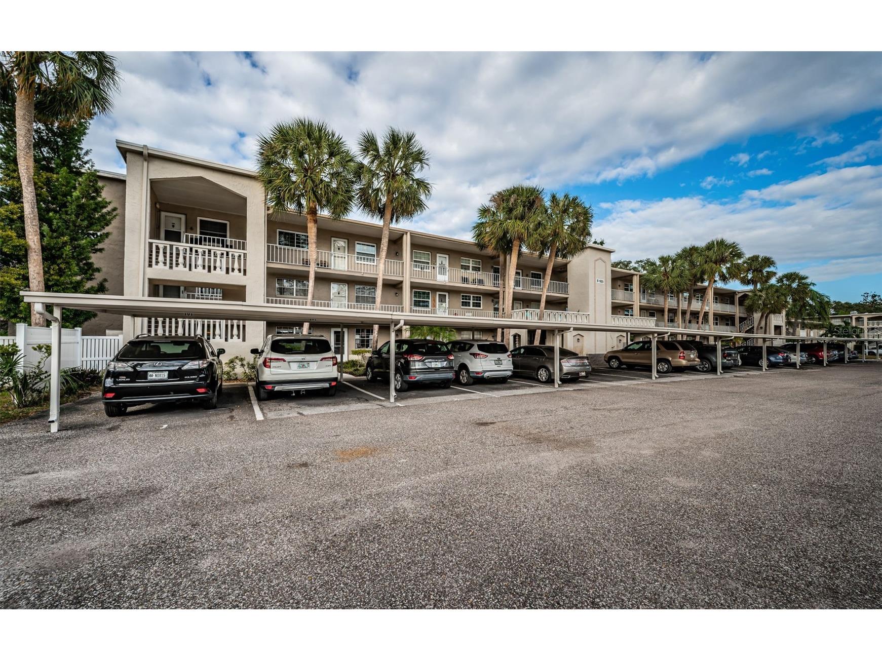 920 Virginia Street #302 Dunedin FL 34698 TB8465395 image4