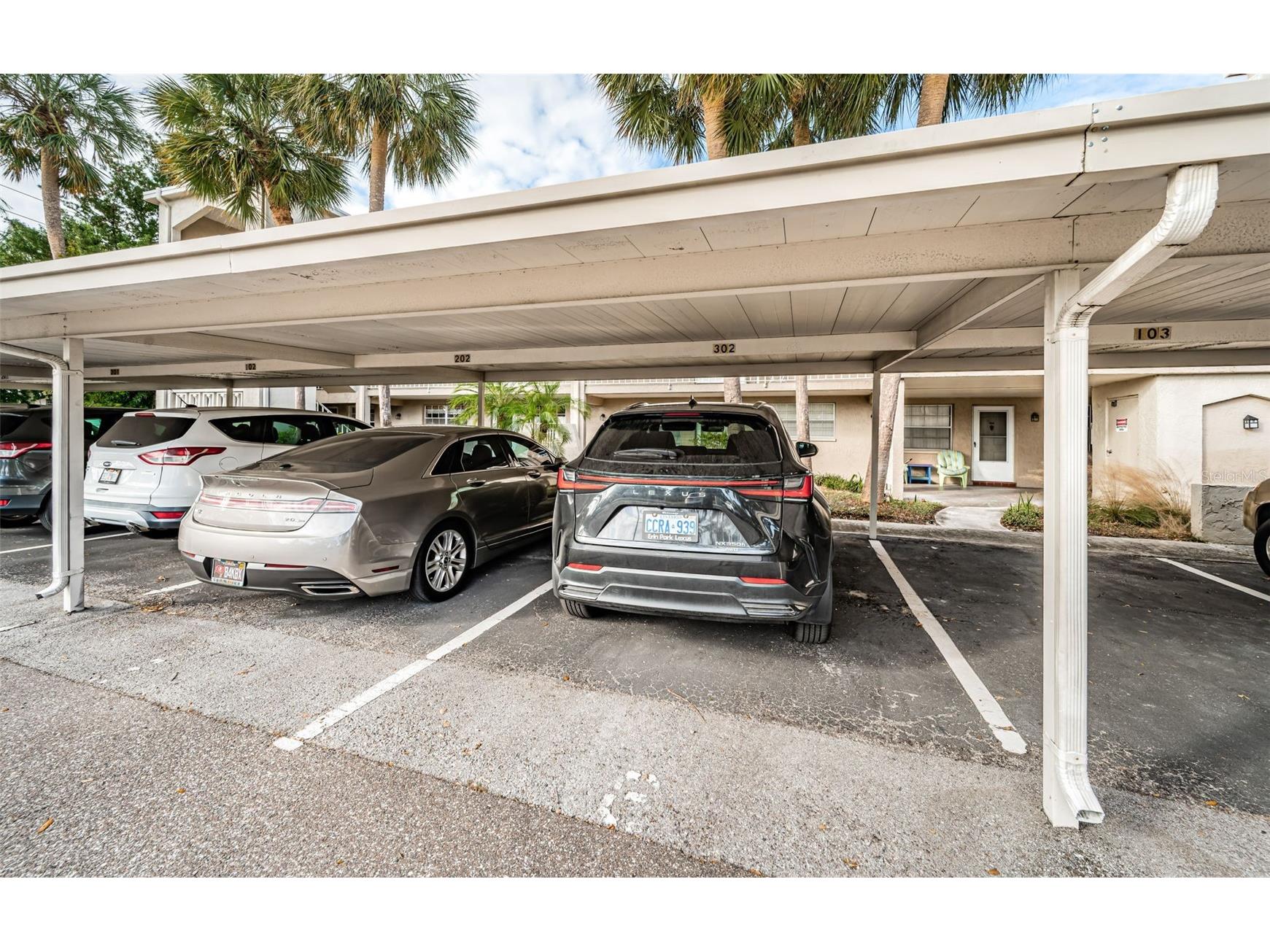 920 Virginia Street #302 Dunedin FL 34698 TB8465395 image41