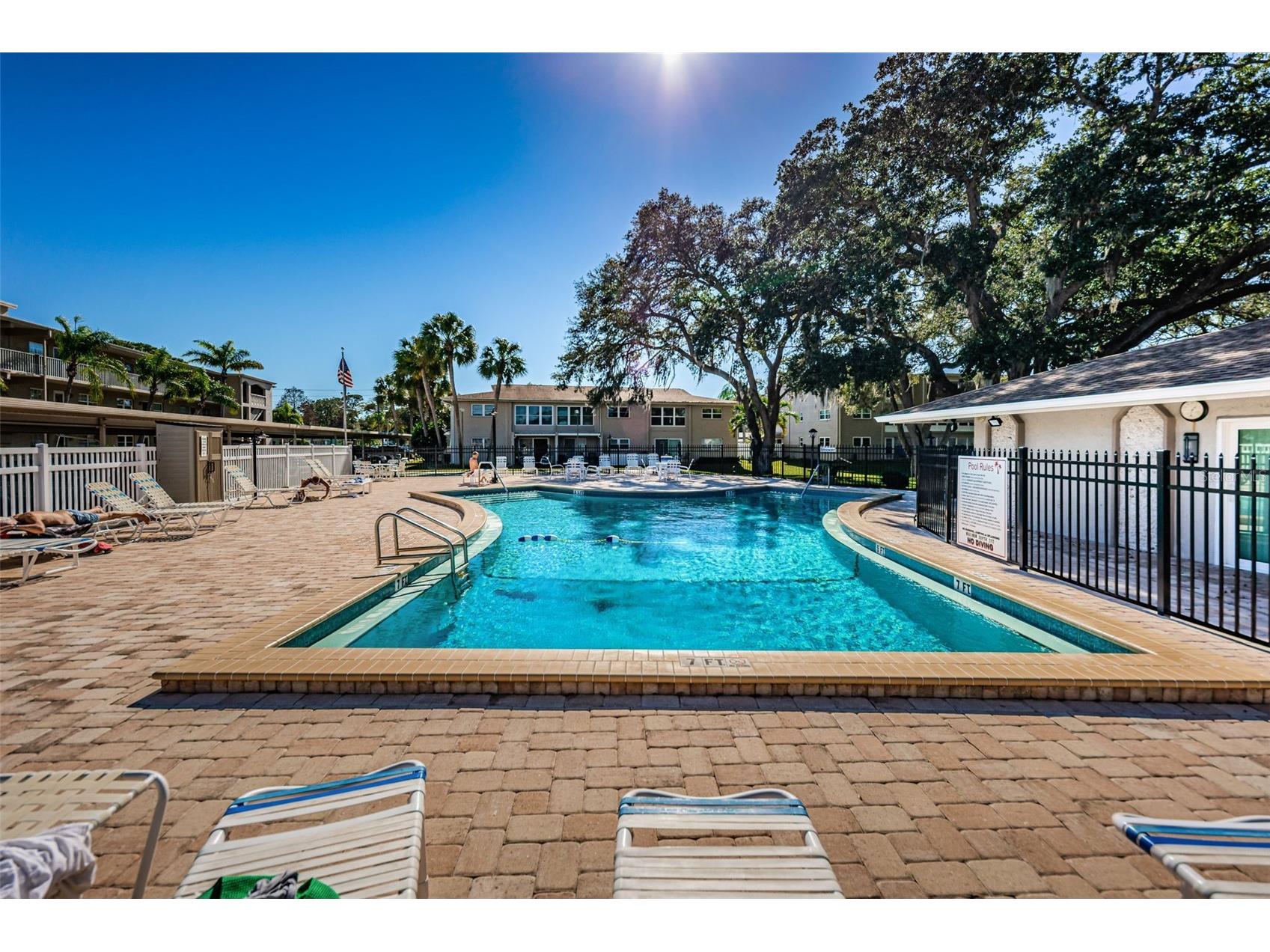 920 Virginia Street #302 Dunedin FL 34698 TB8465395 image43