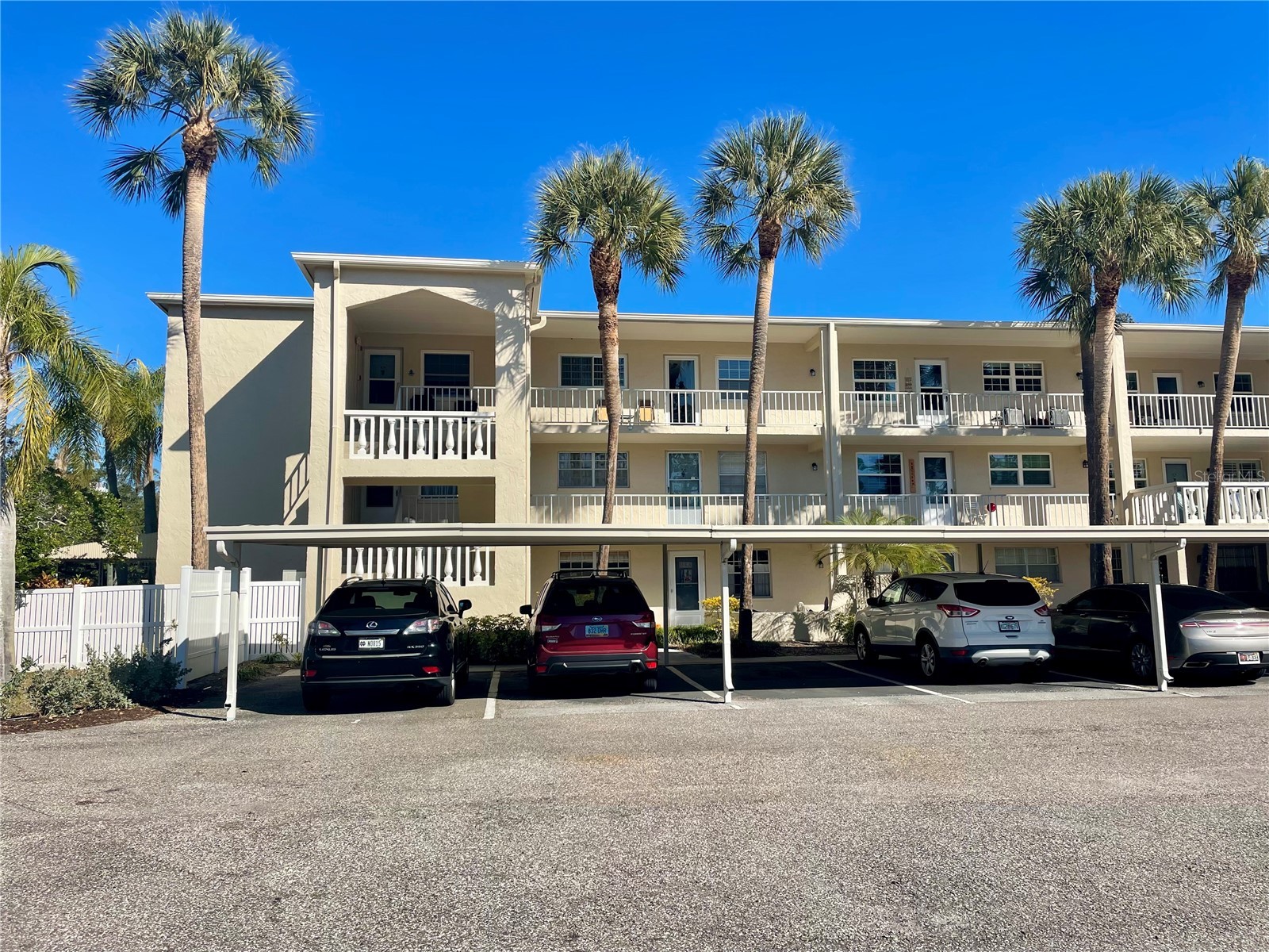 920 Virginia Street #303 Dunedin FL 34698 TB8474262 image1