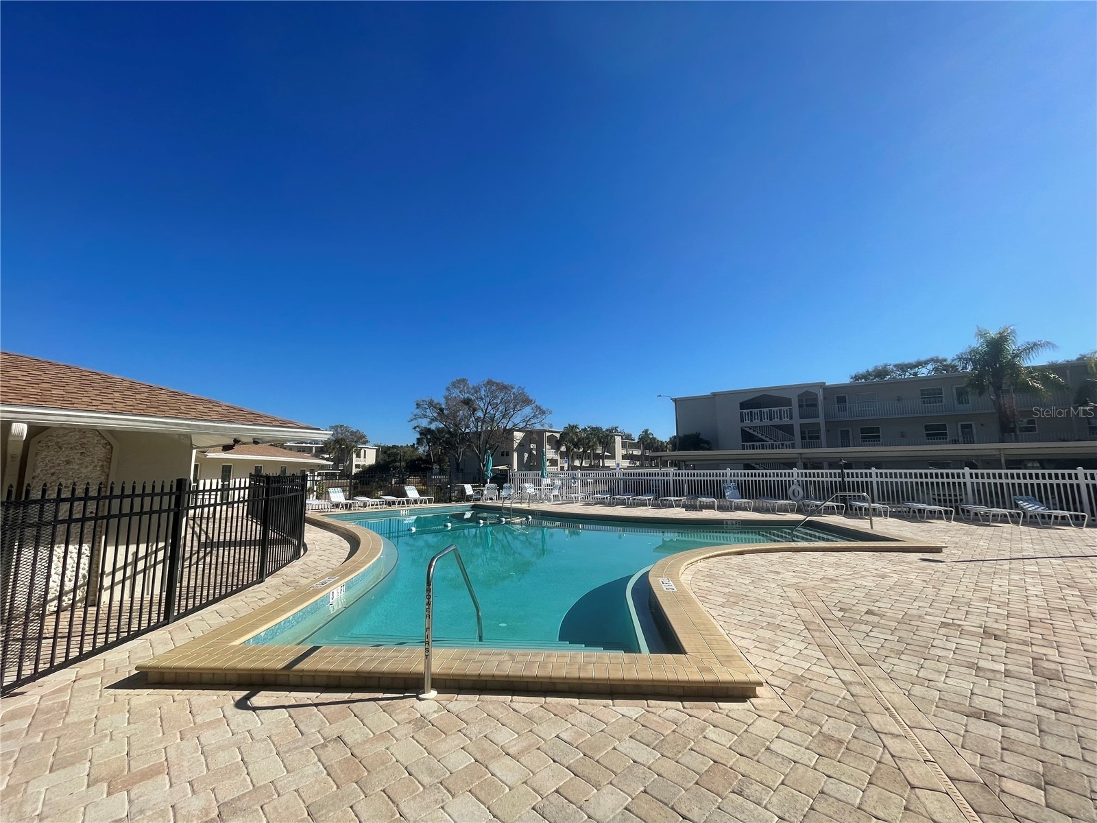 920 Virginia Street #303 Dunedin FL 34698 TB8474262 image14