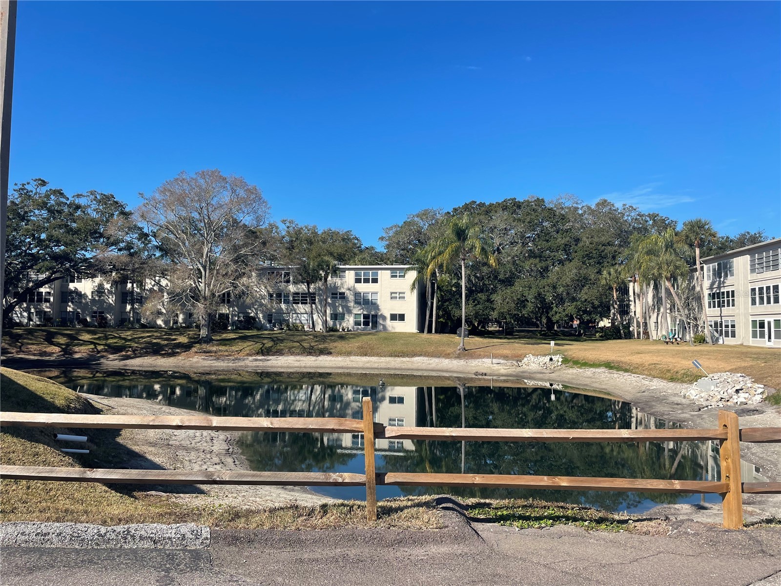 920 Virginia Street #303 Dunedin FL 34698 TB8474262 image16