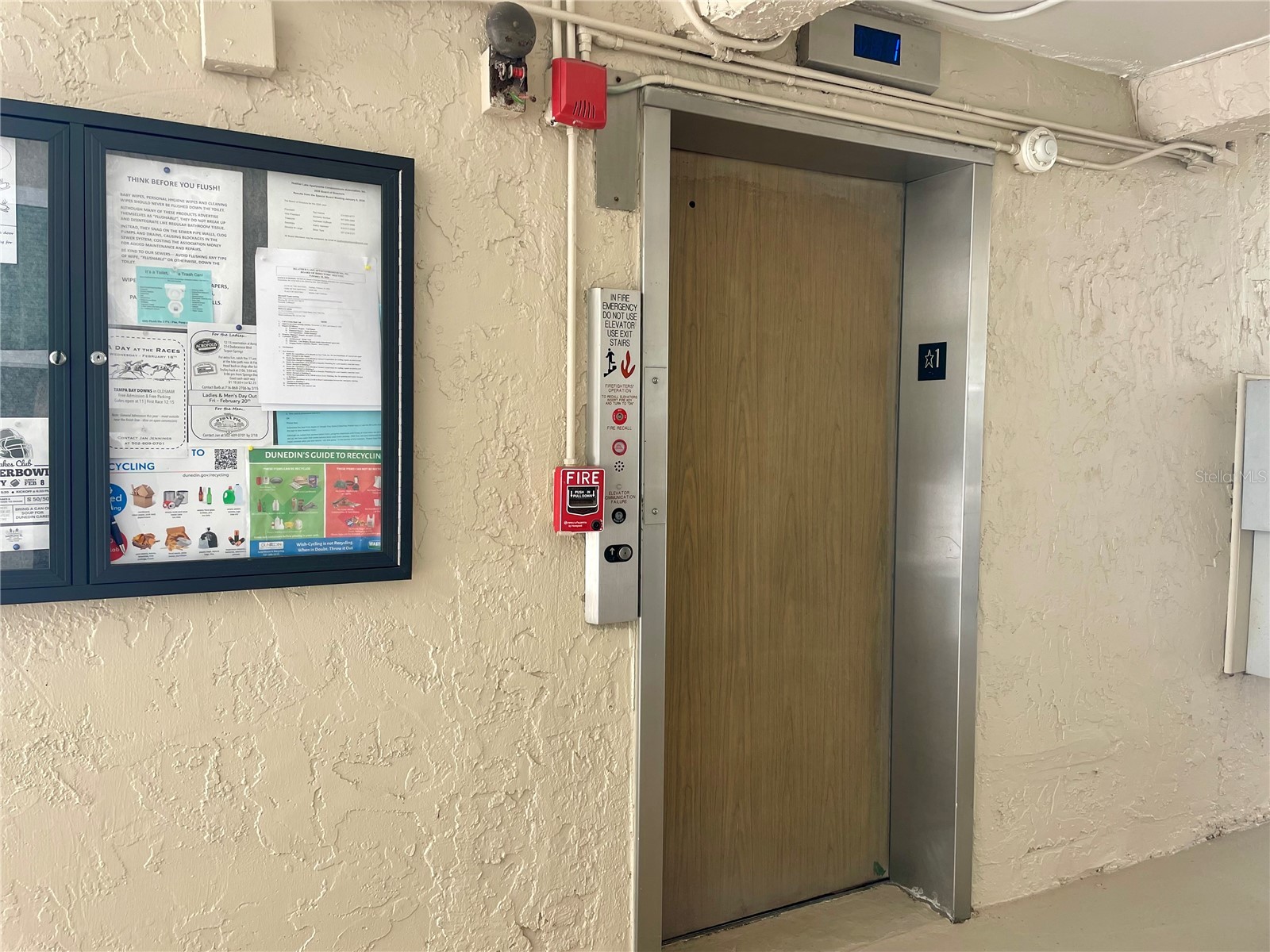 920 Virginia Street #303 Dunedin FL 34698 TB8474262 image17