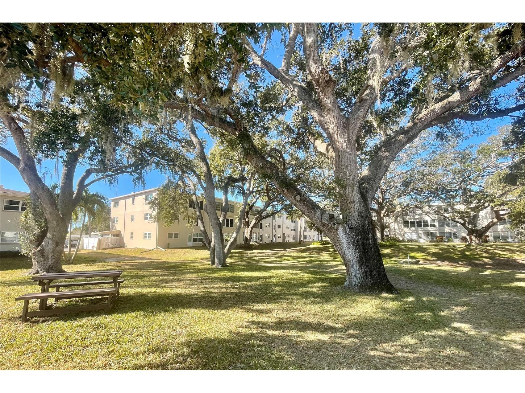 920 Virginia Street #303 Dunedin FL 34698 TB8478810 image20