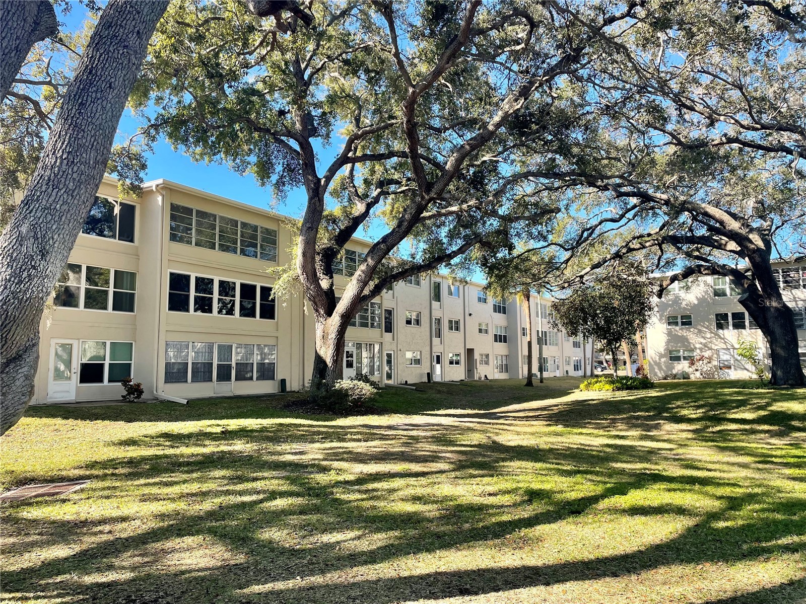 920 Virginia Street #303 Dunedin FL 34698 TB8478810 image21