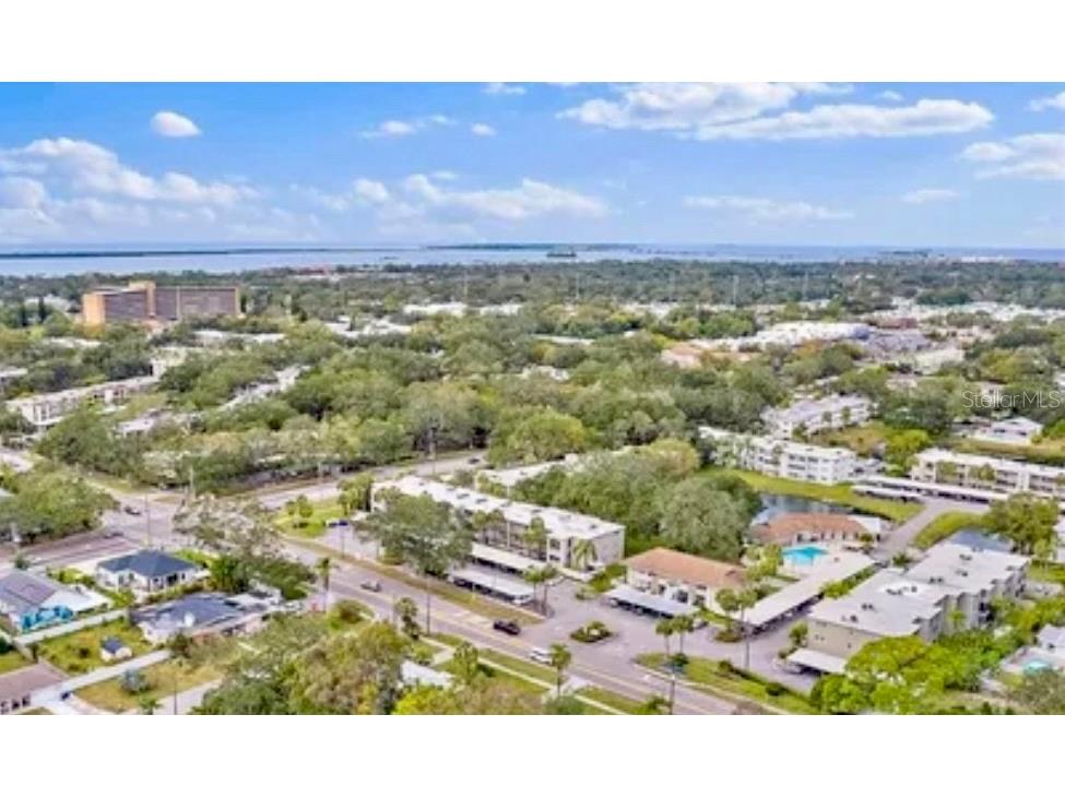 920 Virginia Street #303 Dunedin FL 34698 TB8478810 image25