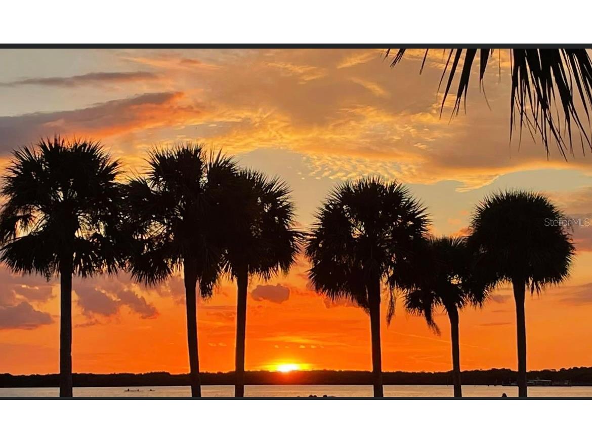 920 Virginia Street #303 Dunedin FL 34698 TB8478810 image27