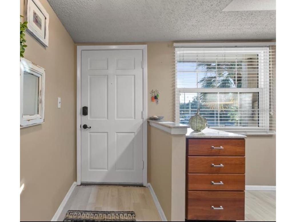 920 Virginia Street #303 Dunedin FL 34698 TB8478810 image4
