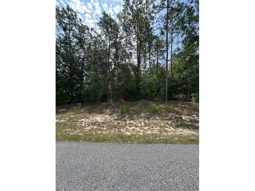 920 W Rum Place Dunnellon FL 34434 OM700898 image1