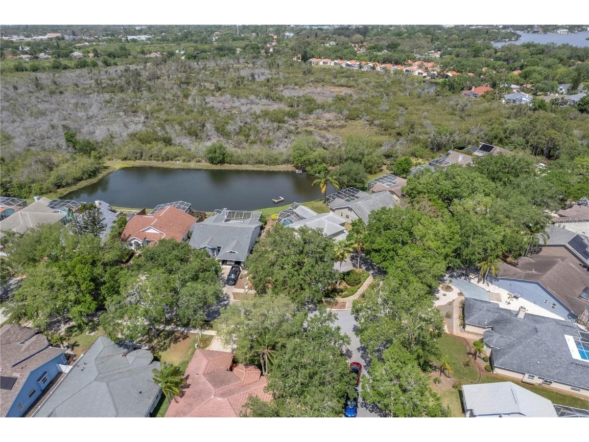 920 Westwinds Boulevard Tarpon Springs FL 34689 TB8444053 image39