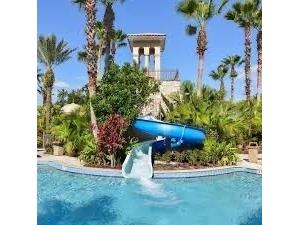 920 Windlass Court Kissimmee FL 34746 S5142005 image49